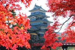 Castles, Wine & Temple Tales: Matsumoto-Nagano Discovery 4 days ATS001-2